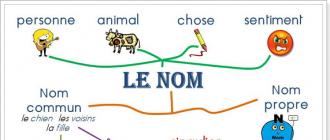 Род имен существительных во французском языке