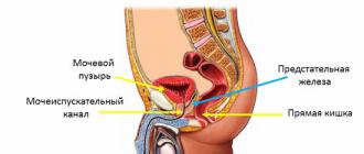 O simptomima adenoma prostate kod muškaraca